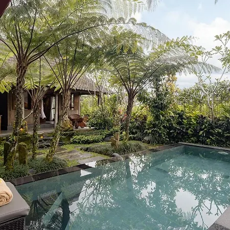 Moringa Ubud Villa-2